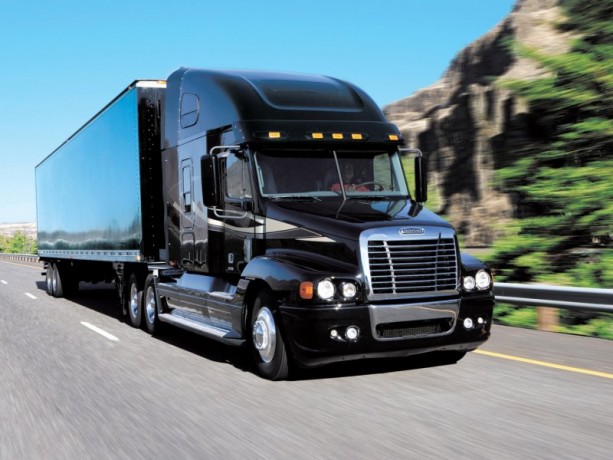 Накладки на фары Freightliner FLC 120 купить недорого с доставкой в Канск